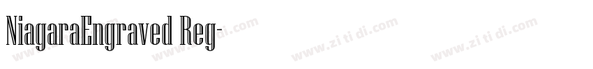 NiagaraEngraved Reg字体转换